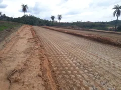 Terreno / Lote / Condomínio à venda, 250m² no Menezes, Ribeirão das Neves - Foto 1