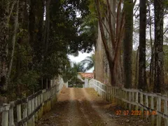 Fazenda / Sítio / Chácara com 7 Quartos à venda, 354000m² no Centro, Goianá - Foto 20