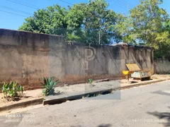 Fazenda / Sítio / Chácara com 4 Quartos à venda, 5000m² no Cidade Satélite São Luiz, Aparecida de Goiânia - Foto 14