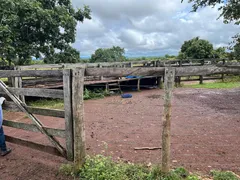 Fazenda / Sítio / Chácara com 5 Quartos à venda, 100m² no Zona Rural, Nossa Senhora do Livramento - Foto 19