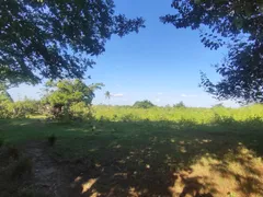 Fazenda / Sítio / Chácara com 2 Quartos à venda, 100000m² no Zona Rural, Glória do Goitá - Foto 6