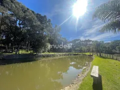 Fazenda / Sítio / Chácara com 4 Quartos à venda, 24000m² no Roça Velha, São José dos Pinhais - Foto 4