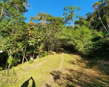 Fazenda / Sítio / Chácara à venda, 96000m² no Dom Joaquim, Brusque - Foto 6