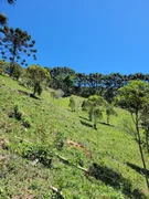 Fazenda / Sítio / Chácara à venda, 290000m² no Centro, Piranguçu - Foto 12