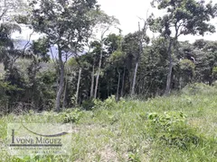 Terreno / Lote / Condomínio à venda, 5000m² no Vale das Videiras, Petrópolis - Foto 2