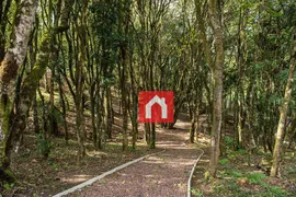 Terreno / Lote / Condomínio à venda, 715m² no Pedancino, Caxias do Sul - Foto 36