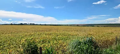 Fazenda / Sítio / Chácara à venda, 195400m² no Paranoá, Brasília - Foto 7