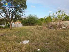 Fazenda / Sítio / Chácara com 1 Quarto à venda, 1100m² no Parque Aeroporto, Campinas - Foto 11