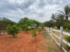 Fazenda / Sítio / Chácara com 6 Quartos à venda, 350m² no Vale Do Amanhecer, Igarapé - Foto 30