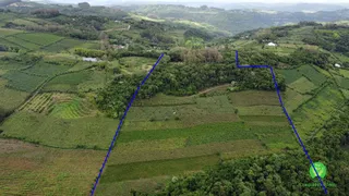 Fazenda / Sítio / Chácara à venda, 140000m² no Zona Rural, Monte Belo do Sul - Foto 4