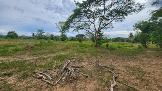 Fazenda / Sítio / Chácara à venda, 110000m² no Parque Sagrada Familia, Rondonópolis - Foto 19