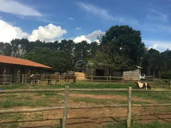 Fazenda / Sítio / Chácara com 3 Quartos à venda, 24200m² no Parque Itaipu, São Carlos - Foto 25