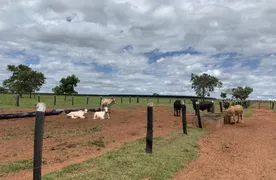 Fazenda / Sítio / Chácara com 2 Quartos à venda, 100m² no , Bataguassu - Foto 20