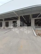 Conjunto Comercial / Sala para alugar, 4002m² no , Flores da Cunha - Foto 17