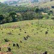 Fazenda / Sítio / Chácara à venda no Cachoeirinha , Pinhalzinho - Foto 5