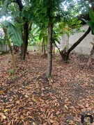 Terreno / Lote / Condomínio à venda, 500m² no Vila Rosário, Duque de Caxias - Foto 2