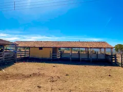 Fazenda / Sítio / Chácara com 8 Quartos à venda, 500000m² no Zona Rural, Luziânia - Foto 8
