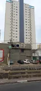 Galpão / Depósito / Armazém para alugar, 354m² no Centro, Campinas - Foto 3