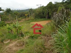 Fazenda / Sítio / Chácara com 4 Quartos à venda, 2904m² no Capelinha, Cotia - Foto 4