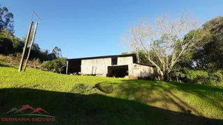 Fazenda / Sítio / Chácara com 3 Quartos à venda, 150m² no , Linha Nova - Foto 11