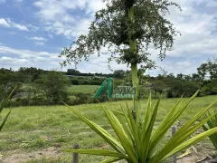 Fazenda / Sítio / Chácara com 4 Quartos para venda ou aluguel, 500m² no , Esmeraldas - Foto 181