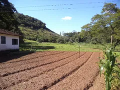 Fazenda / Sítio / Chácara com 3 Quartos à venda no Providencia, Teresópolis - Foto 1