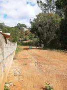 Terreno / Lote / Condomínio à venda, 500m² no Novo Horizonte, Juiz de Fora - Foto 7