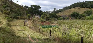 Fazenda / Sítio / Chácara com 4 Quartos à venda, 121000m² no Santa Terezinha, São Luiz do Paraitinga - Foto 8
