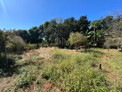 Fazenda / Sítio / Chácara com 2 Quartos à venda, 200m² no Bairro do Pinhal, Limeira - Foto 2