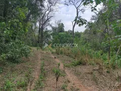 Terreno / Lote / Condomínio à venda, 5000m² no Dois Córregos, Valinhos - Foto 13