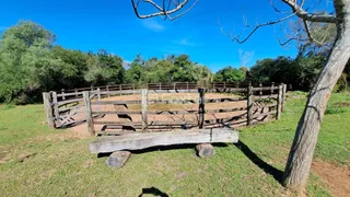 Fazenda / Sítio / Chácara com 5 Quartos à venda, 319m² no Passo da Areia, Viamão - Foto 52