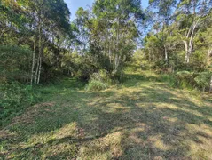 Terreno / Lote / Condomínio à venda, 16280m² no Jardim Planteucal, Ribeirão Pires - Foto 4