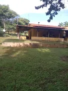 Fazenda / Sítio / Chácara à venda, 10000m² no Zona Rural, Bonfinópolis - Foto 7