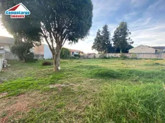 Terreno / Lote / Condomínio à venda, 2391m² no Vila Bancaria , Campo Largo - Foto 6