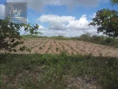 Fazenda / Sítio / Chácara com 3 Quartos à venda, 27000m² no Trairas, Macaíba - Foto 10