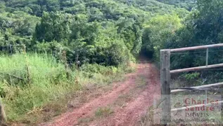 Fazenda / Sítio / Chácara com 2 Quartos à venda, 20000m² no Zona Rural, Bonfinópolis - Foto 10
