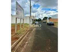 Terreno / Lote / Condomínio à venda, 250m² no Laranjeiras, Uberlândia - Foto 2