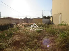 Terreno / Lote Comercial para alugar, 285m² no Centro, Sumaré - Foto 5