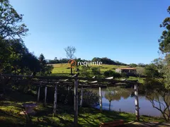 Fazenda / Sítio / Chácara com 3 Quartos à venda, 130m² no Centro, Canguçu - Foto 3