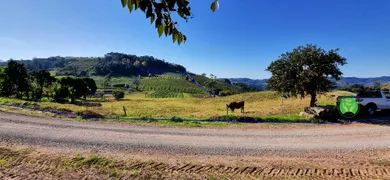 Fazenda / Sítio / Chácara à venda, 35000m² no Zona Rural, Santa Tereza - Foto 1