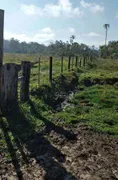 Terreno / Lote / Condomínio à venda no Pirabeiraba Centro, Joinville - Foto 6