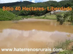 Fazenda / Sítio / Chácara com 1 Quarto à venda, 160000m² no Centro, Bom Jardim de Minas - Foto 14