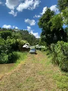 Fazenda / Sítio / Chácara com 3 Quartos à venda, 50000m² no Cachoeira, Santa Isabel - Foto 14