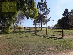 Fazenda / Sítio / Chácara com 4 Quartos à venda, 8000m² no Verava, Ibiúna - Foto 13