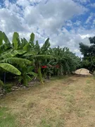 Fazenda / Sítio / Chácara com 5 Quartos à venda, 300m² no Parque da Grama, Indaiatuba - Foto 48
