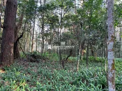 Fazenda / Sítio / Chácara à venda, 196000m² no Avenida Central, Gramado - Foto 6