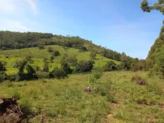 Terreno / Lote / Condomínio à venda, 160000m² no Zona Rural, Passa Tempo - Foto 1