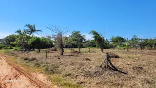 Terreno / Lote / Condomínio à venda, 4200m² no Praia do Ervino, São Francisco do Sul - Foto 11