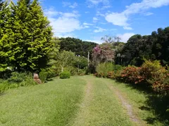 Fazenda / Sítio / Chácara com 3 Quartos à venda, 330000m² no Zona Rural, Três Coroas - Foto 25