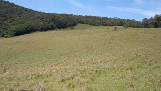 Fazenda / Sítio / Chácara com 2 Quartos à venda, 70m² no Zona Rural, Ribeirão Branco - Foto 17